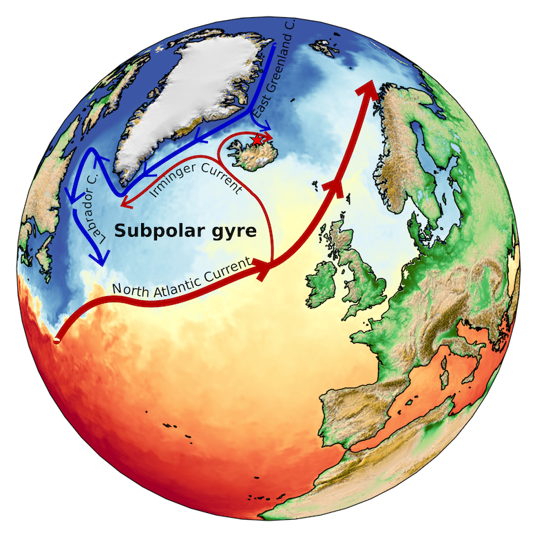 北大西洋副极地环流。红色箭头表示相对温暖和咸水域由北大西洋洋流,向北西Irminger电流,顺时针在冰岛北部冰岛Irminger电流。蓝色箭头对应相对凉爽的和新鲜的北极水域运输向南东格陵兰的电流转移冰岛北部的东目前冰岛和格陵兰岛西南拉布拉多寒流。副极地环流流逆时针的近极的北大西洋。红星表明圆蛤类壳采样站点的位置(80米水深)。彩色地图代表在2016年4月海面温度。来源:Beatriz Arellano-Nava。