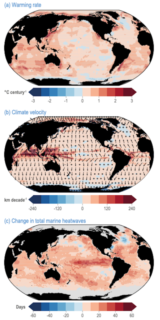 1925 - 2016之间的海洋变量的变化:(a)变暖速率,摄氏度每世纪,(b)气候速度,公里每十年和(C)的变化之间的海洋热浪天数时间1925 - 54和1987 - 2016。资料来源:联合国政府间气候变化专门委员会(2022)图3.3。