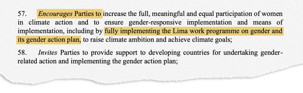 COP27最终文本的性别行动计划