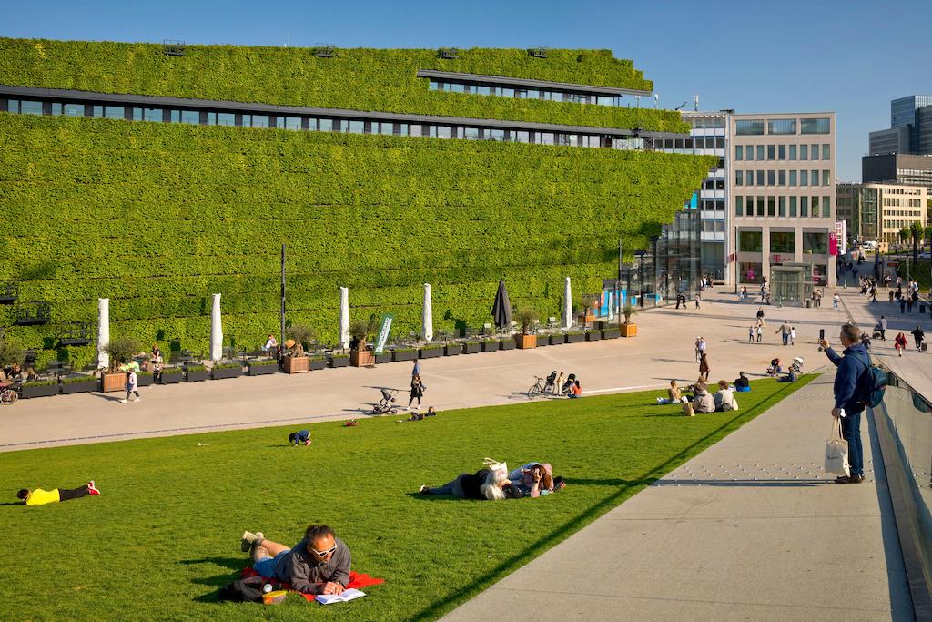 在德国杜塞尔多夫城市中心绿色建筑。