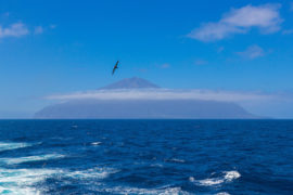 南大西洋,与远程岛特里斯坦-达库尼亚群岛的背景。