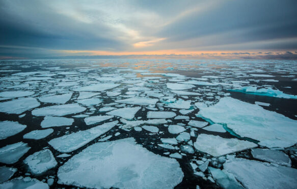 日出的海冰