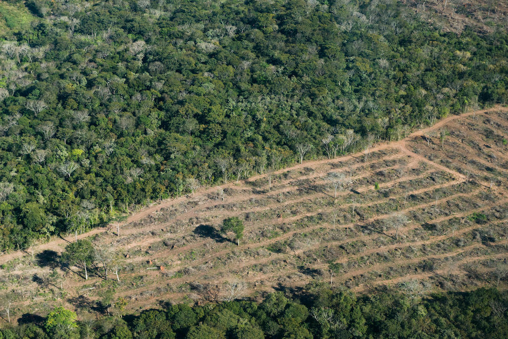 森林砍伐的南马托格罗索州,巴西。
