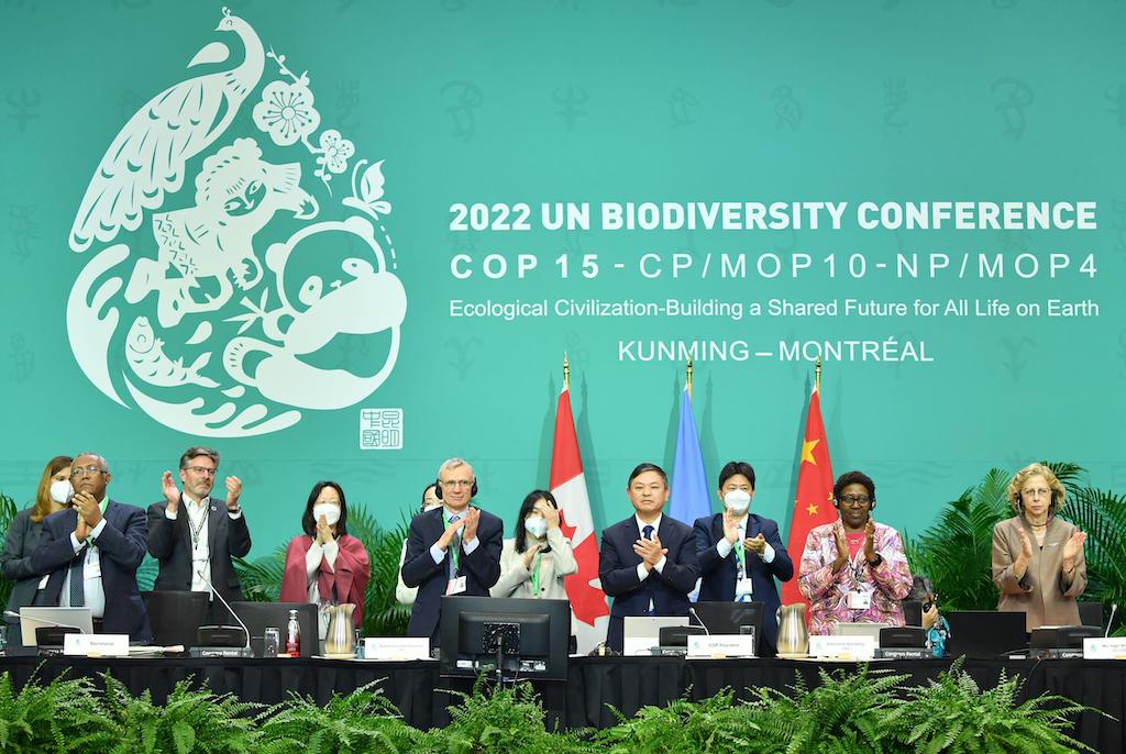 COP15总统和中国生态环境部长之一黄润秋(4 R)和联合国生物多样性公约》的执行秘书,伊丽莎白Maruma Mrema (2 R),通过后鼓掌Kunming-Montreal全球生物多样性的框架,一个联合国协议旨在扭转生物多样性丧失和设置世界复苏的道路上,在联合国生物多样性大会,COP15,在蒙特利尔,加拿大,2022年12月19日。